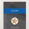 ScentChips ScentOil smooth surfer - ocean shore 475ml
