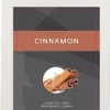 ScentChips ScentOil spicy sparkle - cinnamon 475ml