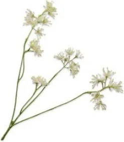 Silk-ka kunstbloem Aralia wit H 74 cm