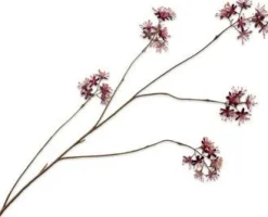 Silk-ka kunstbloem Capparis bordeaux H 14 cm