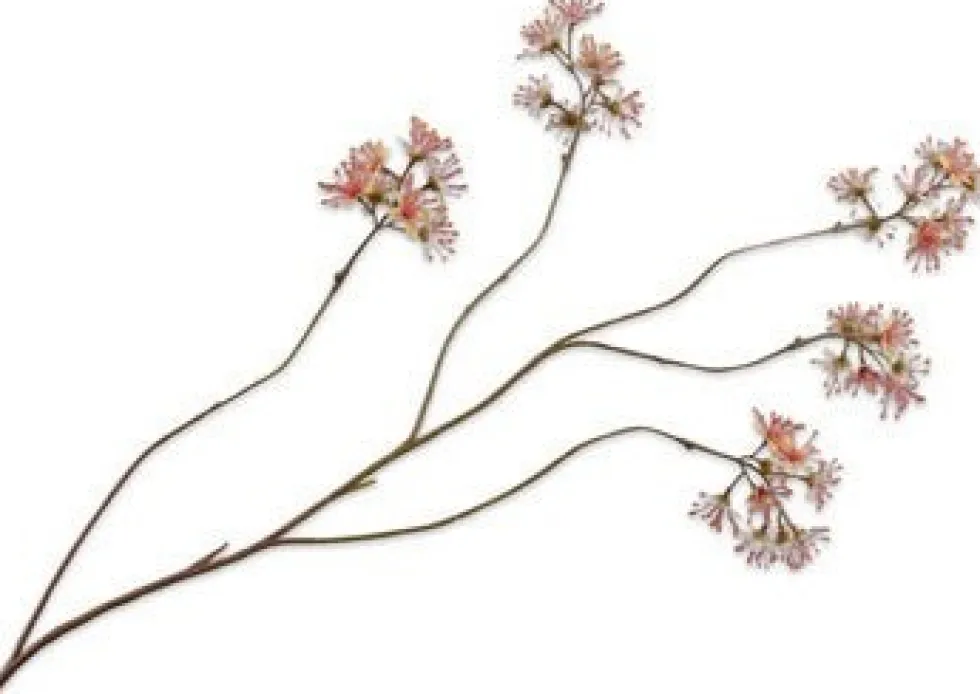 Silk-ka kunstbloem Capparis geel / roze H 14 cm
