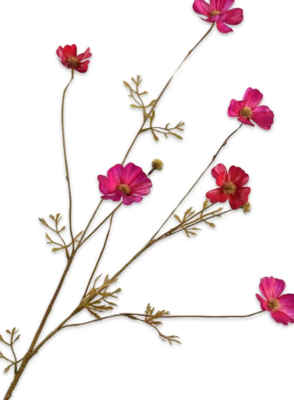 Silk-ka kunstbloem Cosmea rood / roze H 77 cm