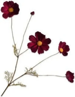 Silk-ka kunstbloem Cosmea rood H 92 cm