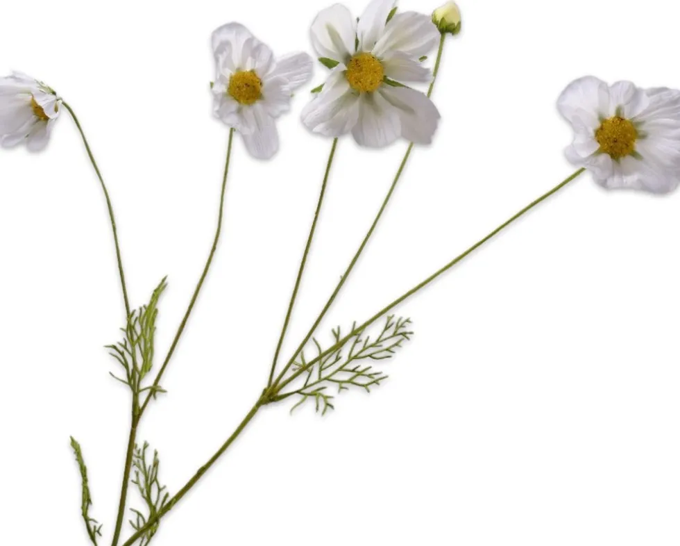 Silk-ka kunstbloem Cosmea wit H 92 cm