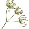 Silk-ka kunstbloem Dille Crème H 83 cm
