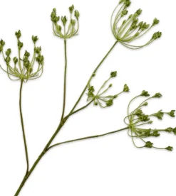 Silk-ka kunstbloem Dille groen H 83 cm