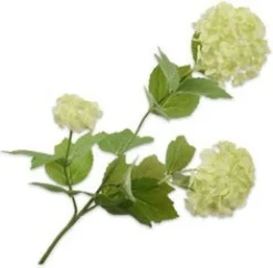 Silk-ka kunstbloem Gelderse roos groen H 61 cm