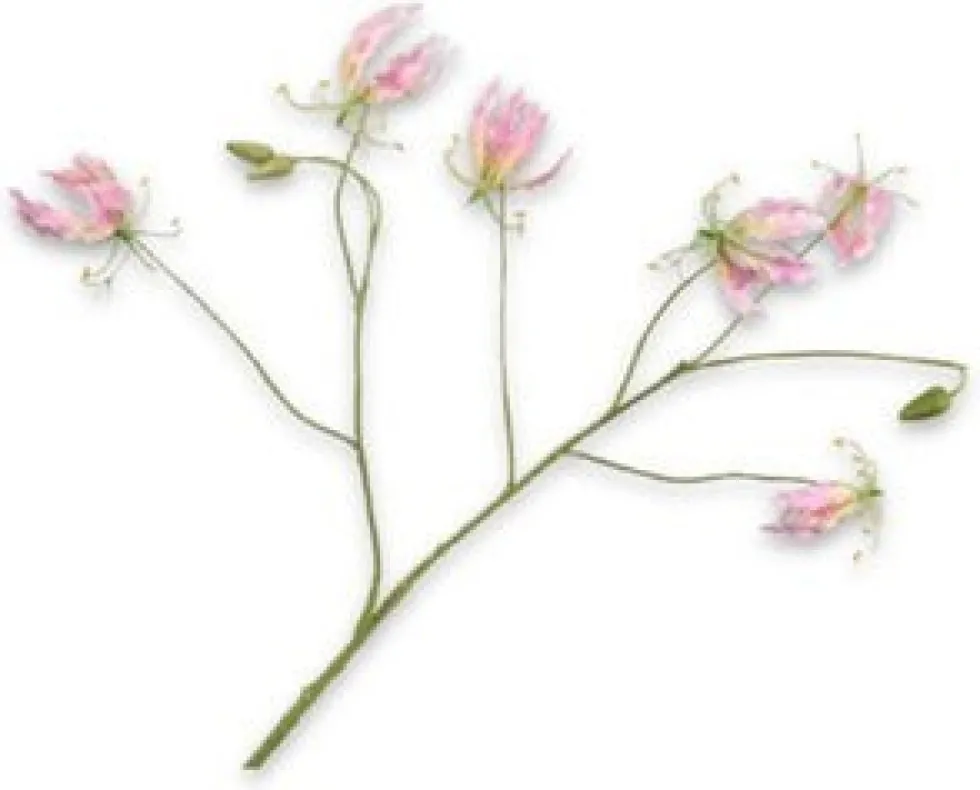 Silk-ka kunstbloem Gloriosa roze H 108 cm