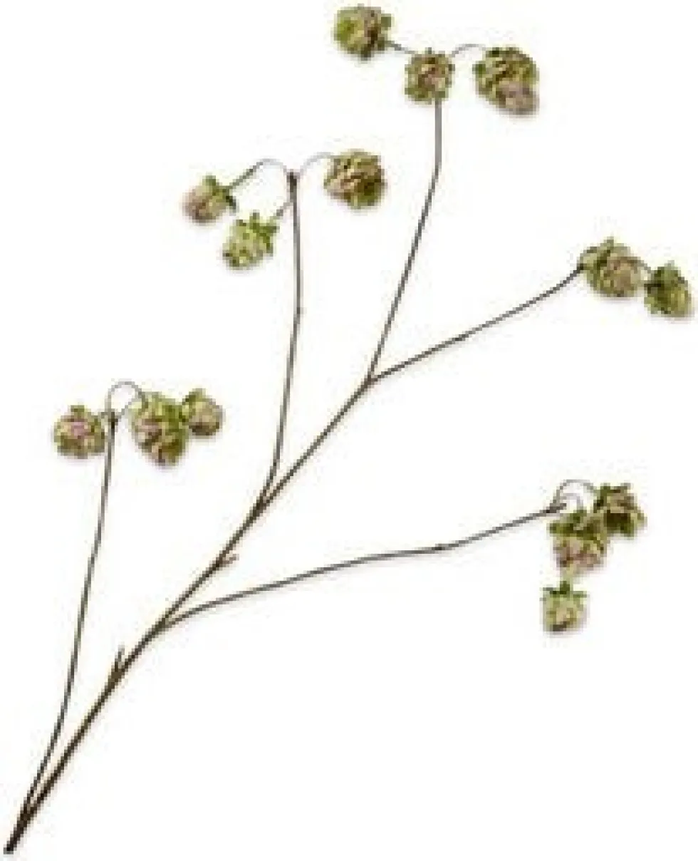 Silk-ka kunstbloem Hop groen / roze H 108 cm