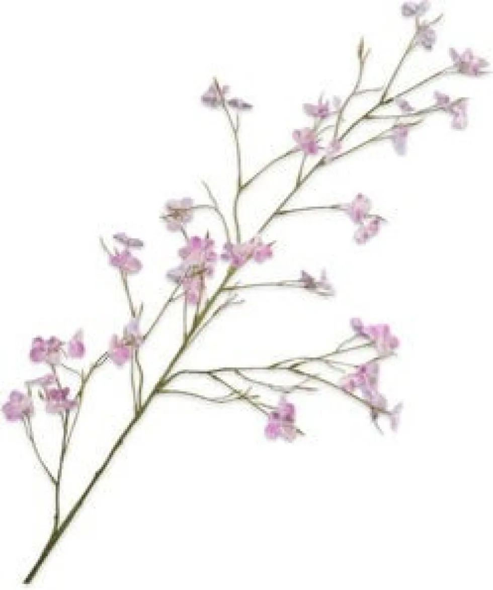 Silk-ka kunstbloem Japanse Sierkers paars H 109 cm