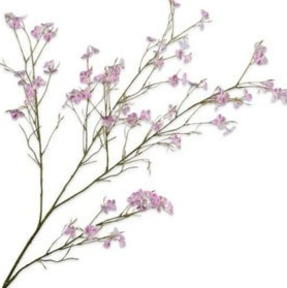 Silk-ka kunstbloem Japanse Sierkers roze H 130 cm