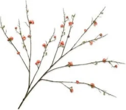 Silk-ka kunstbloem Japanse Sierkers oranje H 115 cm