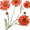 Silk-ka kunstbloem Margriet donkeroranje H 60 cm