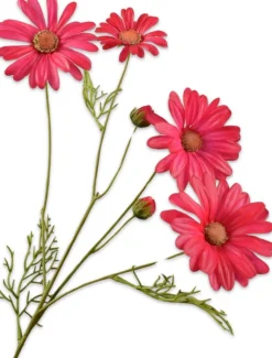 Silk-ka kunstbloem Margriet roze H 60 cm