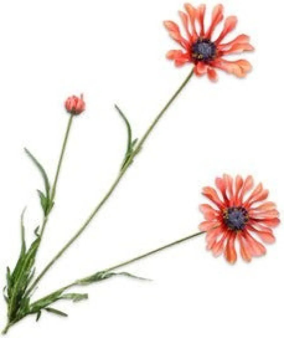 Silk-ka kunstbloem Margriet roze H 66 cm