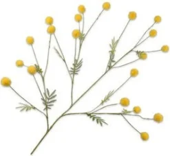 Silk-ka kunstbloem Mimosa geel H 106 cm