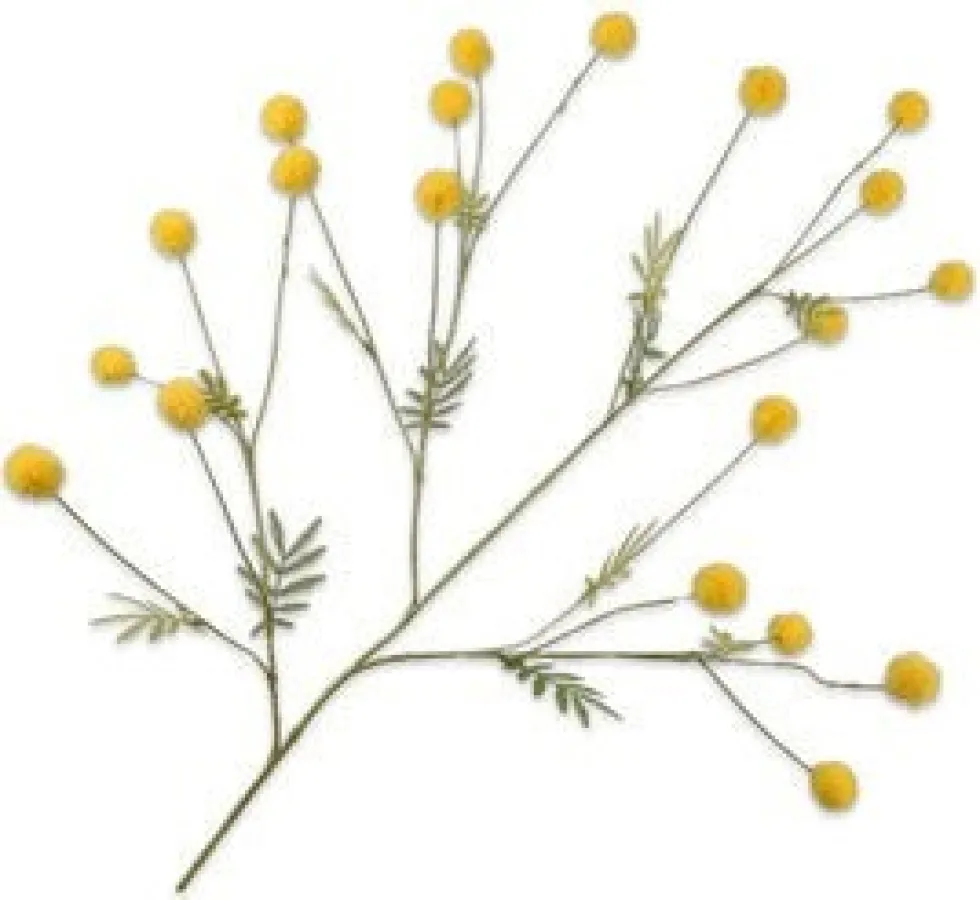 Silk-ka kunstbloem Mimosa geel H 106 cm