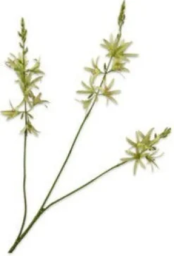Silk-ka kunstbloem Montbresia groen H 95 cm