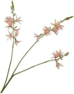 Silk-ka kunstbloem Montbresia roze H 95 cm