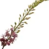 Silk-ka kunstbloem Naald van Cleopatra paars H 14 cm