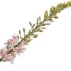 Silk-ka kunstbloem Naald van Cleopatra roze H 14 cm