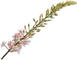 Silk-ka kunstbloem Naald van Cleopatra roze H 14 cm