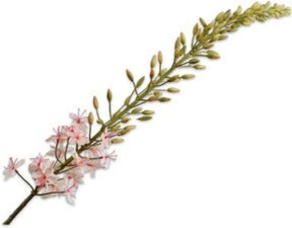 Silk-ka kunstbloem Naald van Cleopatra roze H 14 cm