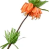 Silk-ka kunstbloem Perzische keizerskroon oranje H 64 cm