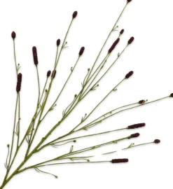 Silk-ka kunstbloem Pimpernel bruin H 116 cm