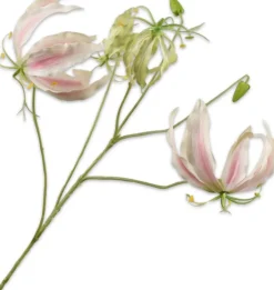 Silk-ka kunstbloem Prachtlelie lichtroze H 89 cm