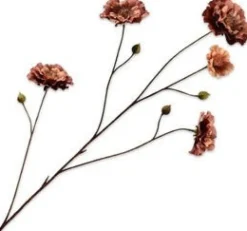 Silk-ka kunstbloem Ranonkel bruin H 53 cm