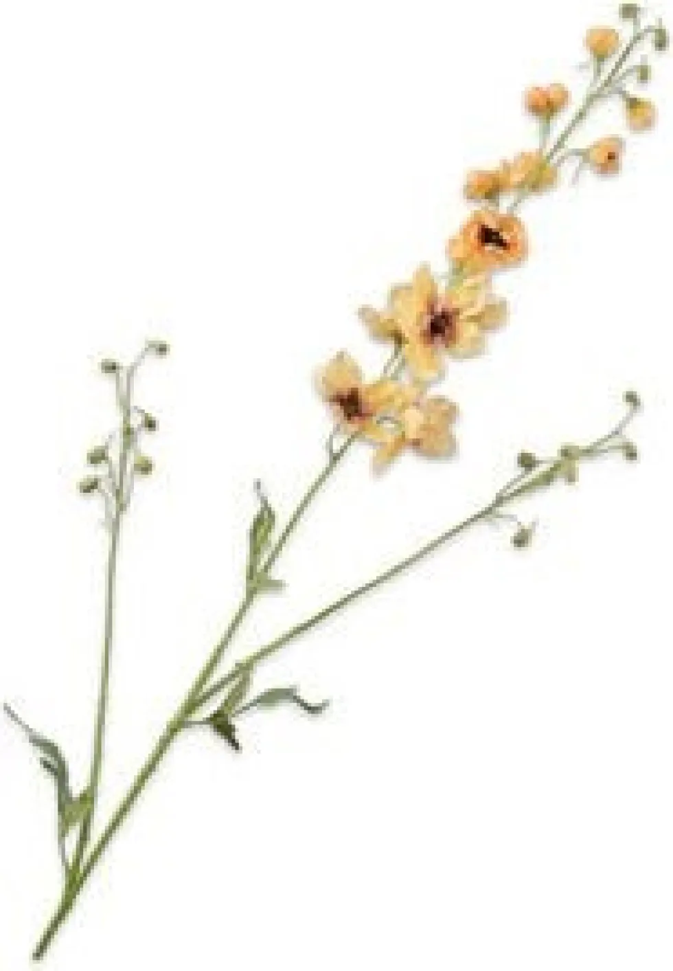 Silk-ka kunstbloem Ridderspoor geel H 101 cm