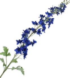 Silk-ka kunstbloem Ridderspoor blauw H 127 cm