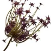 Silk-ka kunstbloem Sierui bordeaux H 84 cm