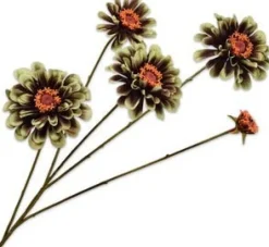 Silk-ka kunstbloem Zinnia groen / bruin H 43 cm