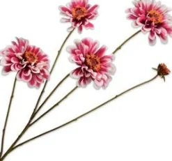 Silk-ka kunstbloem Zinnia roze / wit H 43 cm
