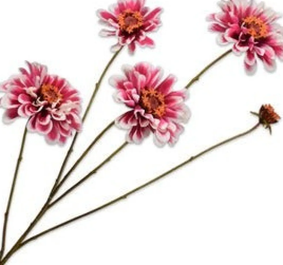Silk-ka kunstbloem Zinnia roze / wit H 43 cm
