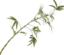 Silk-ka kunsttak Bamboe groen H 122 cm