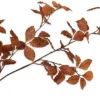 Silk-ka kunsttak Beuk bruin H 10 cm