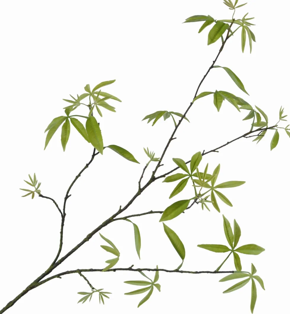 Silk-ka kunsttak Bladtak H 148 cm