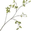 Silk-ka kunsttak Bucida H 77 cm