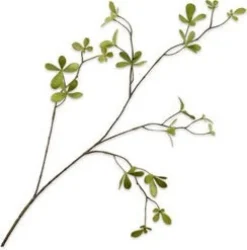 Silk-ka kunsttak Bucida H 77 cm