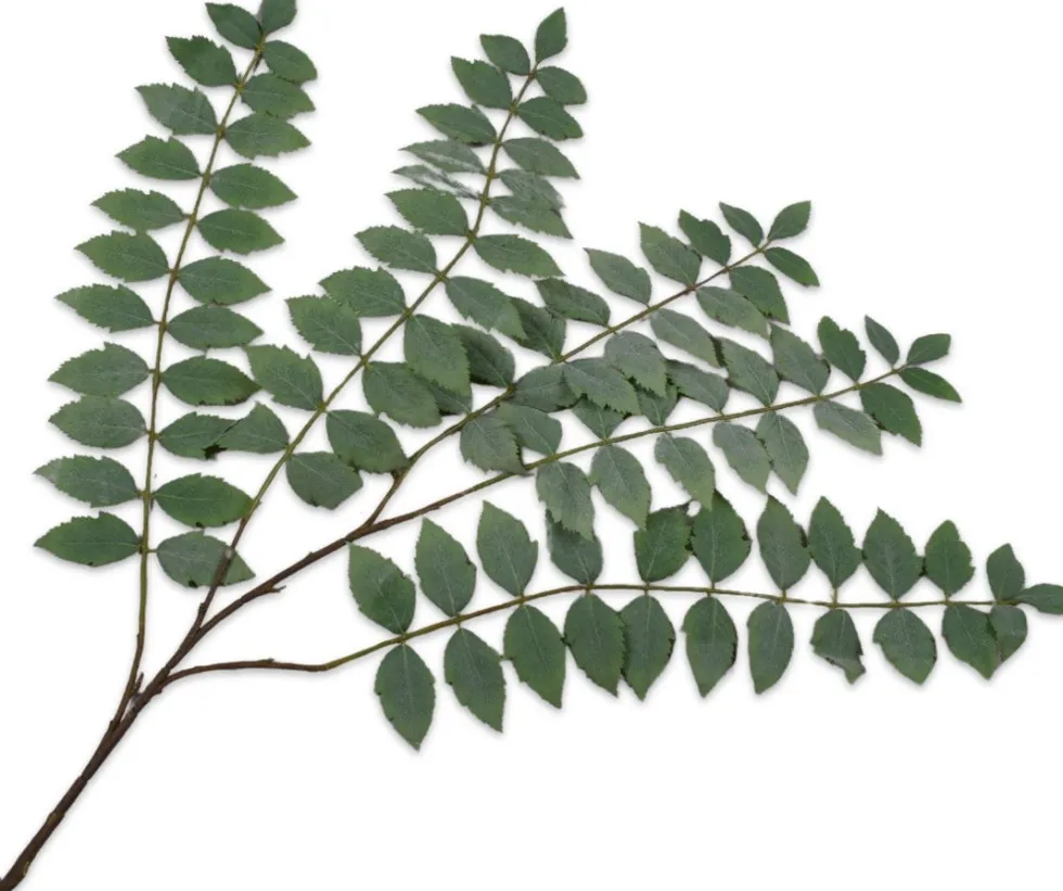 Silk-ka kunsttak Es groen H 138 cm