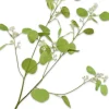 Silk-ka kunsttak Eucalyptus groen H 84 cm