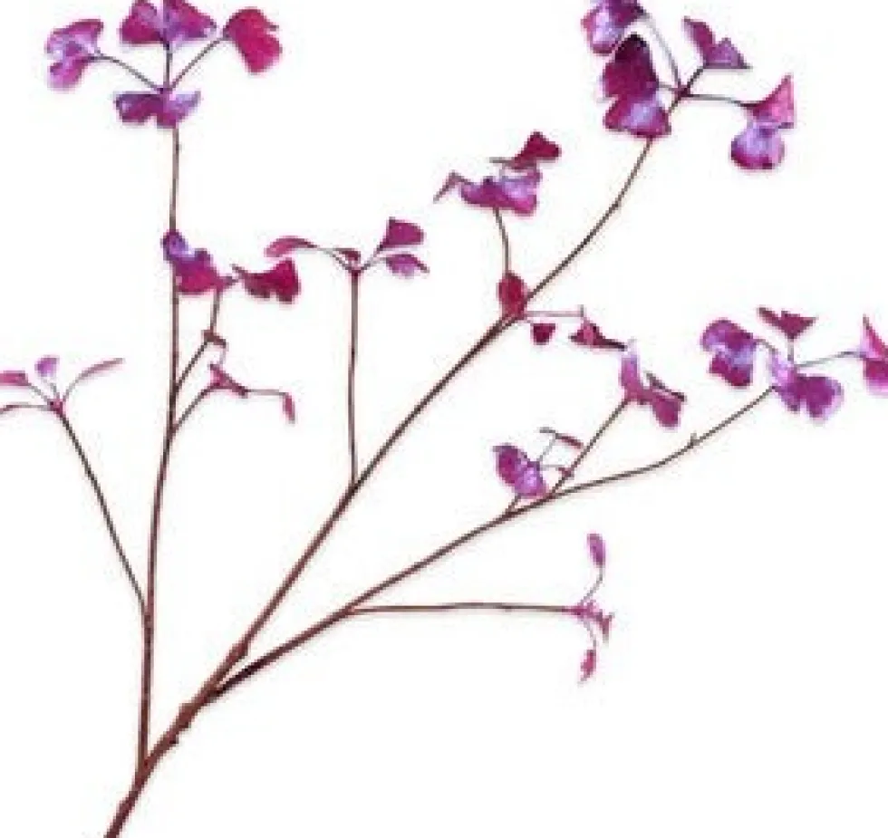 Silk-ka kunsttak Ginkgo blauw H 96 cm