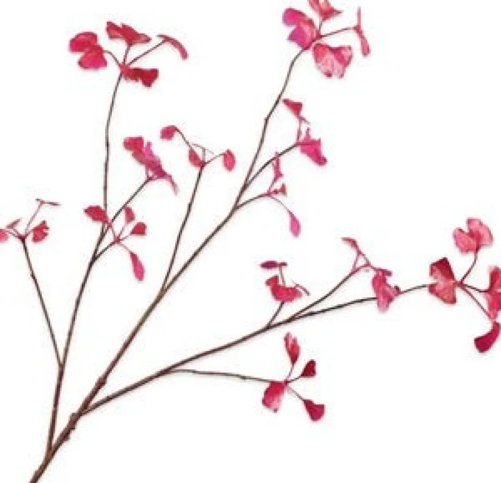Silk-ka kunsttak Ginkgo paars H 96 cm
