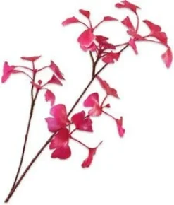 Silk-ka kunsttak Ginkgo roze H 66 cm