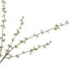 Silk-ka kunsttak Krentenboompje H 122 cm