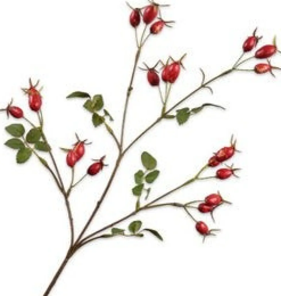 Silk-ka kunsttak Rozenbottel rood H 67 cm