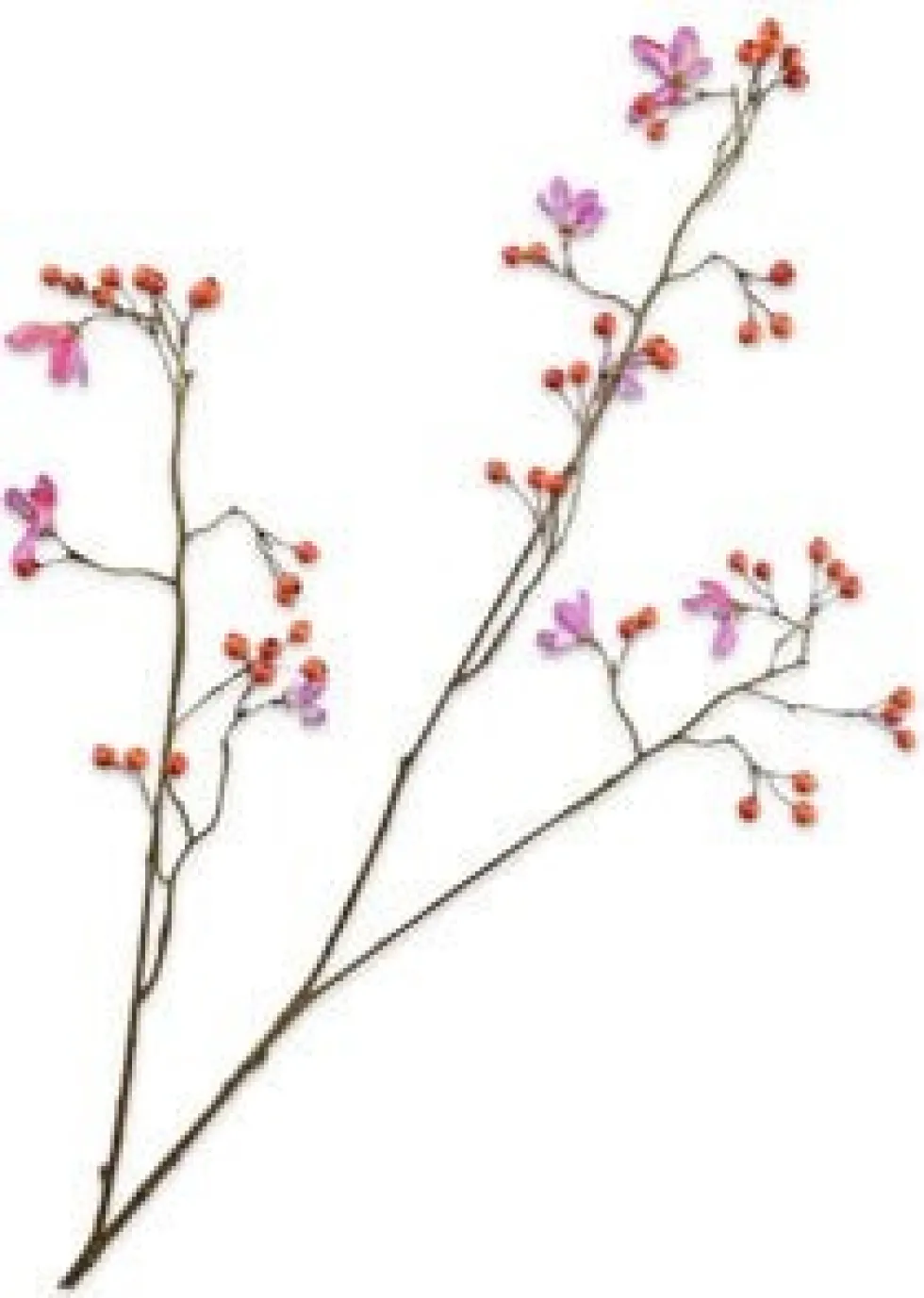 Silk-ka kunsttak Rozenbottel geel / roze H 92 cm